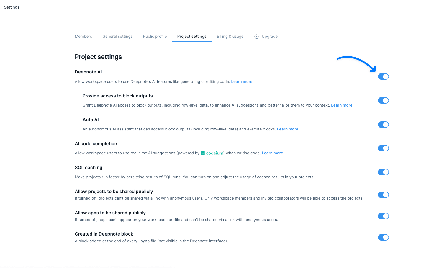 deepnote ai main settings.png